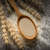 9b975e9e-1796-43be-bf62-3546fdca2845-yeast.png