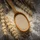 9b975e9e-1796-43be-bf62-3546fdca2845-yeast.png